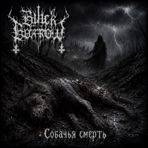 Black Borrow - Собаке